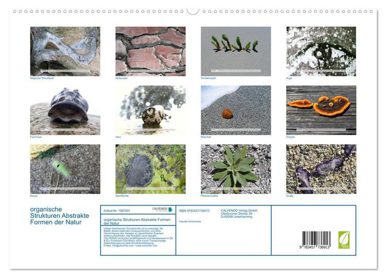 Produktbild: organische Strukturen Abstrakte Formen der Natur (hochwertiger Premium Wandkalender 2026 DIN A2 quer), Kunstdruck in Hochglanz