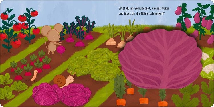 Produktbild: Kuckuck, wo bist du?