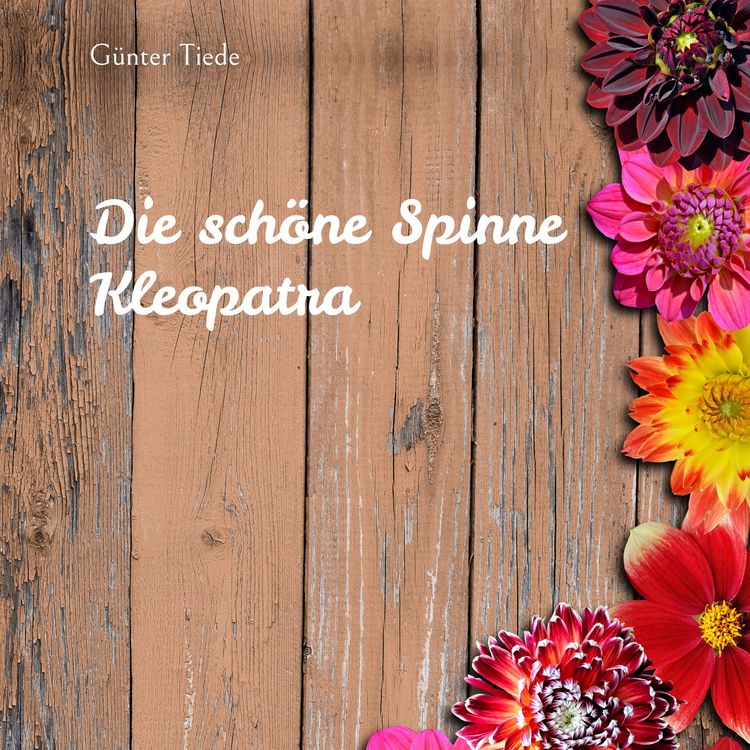 Produktbild: Die sch&ouml;ne Spinne Kleopatra