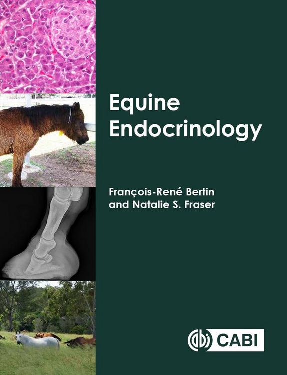 Produktbild: Equine Endocrinology
