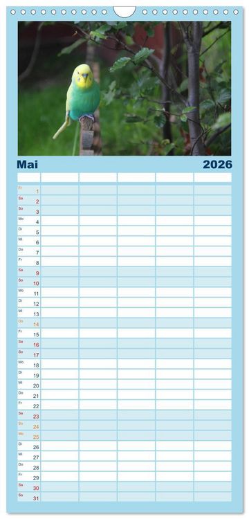 Produktbild: Familienplaner 2026 - Wellensittichtr&auml;ume - Der neue Wellensittich-Naturkalender mit 5 Spalten (Wandkalender, 21 x 45 cm) CALVENDO