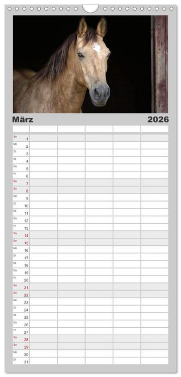 Produktbild: Familienplaner 2026 - Faszination Westernpferde mit 5 Spalten (Wandkalender, 21 x 45 cm) CALVENDO