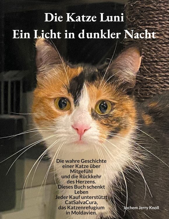 Produktbild: Die Katze Luni - Ein Licht in dunkler Nacht