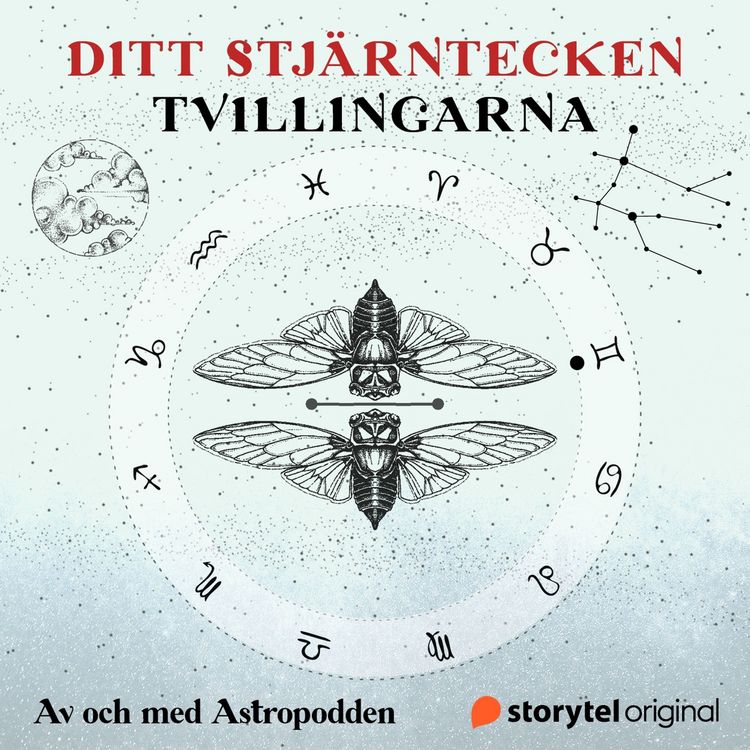 Produktbild: Tvillingen