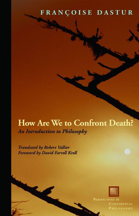 Produktbild: How Are We to Confront Death?