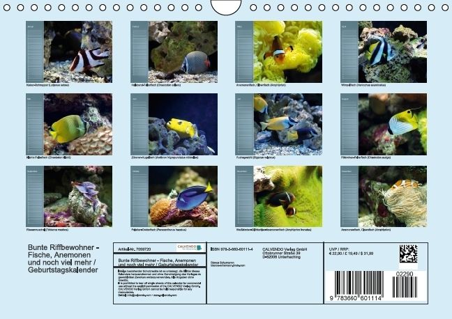 Produktbild: Bunte Riffbewohner - Fische, Anemonen und noch viel mehr (Wandkalender immerw&auml;hrend DIN A4 quer)