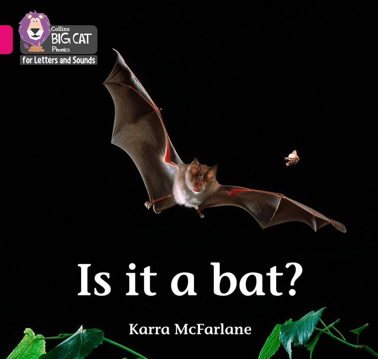 Produktbild: Is it a Bat?