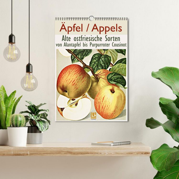 Produktbild: &Auml;pfel/Appels. Alte ostfriesische Sorten (Wandkalender 2026 DIN A3 hoch), CALVENDO Monatskalender