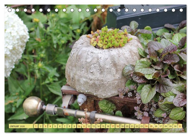 Produktbild: Gartenzauber (Tischkalender 2026 DIN A5 quer), CALVENDO Monatskalender