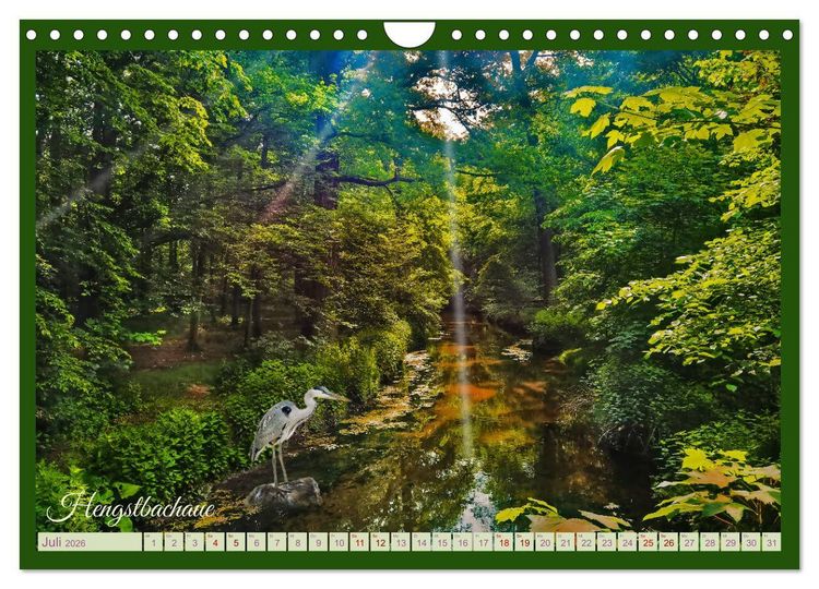 Produktbild: Dreieich Natur Pur (Wandkalender 2026 DIN A4 quer), CALVENDO Monatskalender