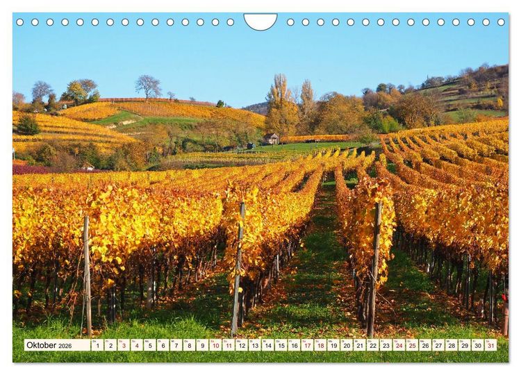 Produktbild: Vom Ried an die Bergstra&szlig;e, durch den Odenwald ins Neckartal (Wandkalender 2026 DIN A4 quer), CALVENDO Monatskalender