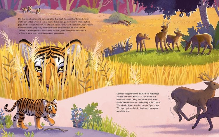Produktbild: Der kleine Tiger - Zu Hause in Indien