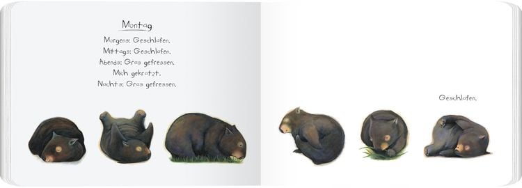 Produktbild: Tagebuch eines Wombat