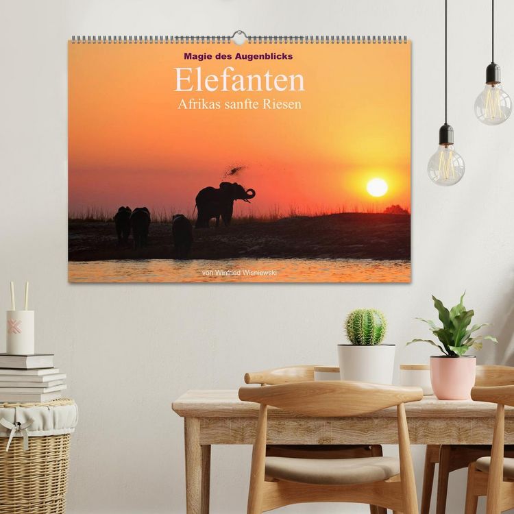 Produktbild: Magie des Augenblicks - Elefanten - Afrikas sanfte Riesen (Wandkalender 2026 DIN A2 quer), CALVENDO Monatskalender