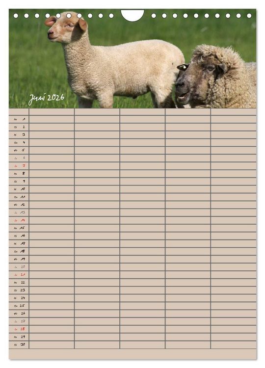 Produktbild: Der bel&auml;mmerte Familienplaner (Wandkalender 2026 DIN A4 hoch), CALVENDO Monatskalender