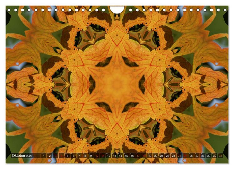 Produktbild: Natur im Kaleidoskop (Wandkalender 2026 DIN A4 quer), CALVENDO Monatskalender