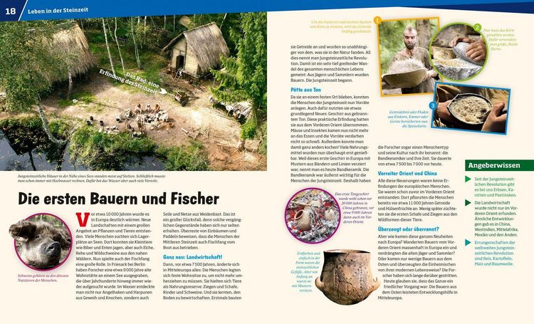 Produktbild: WAS IST WAS Band 138 Steinzeit. Die Zähmung des Feuers