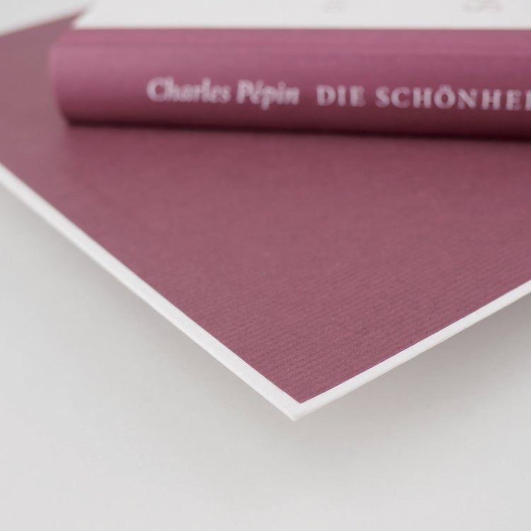 Produktbild: Die Sch&ouml;nheit des Scheiterns
