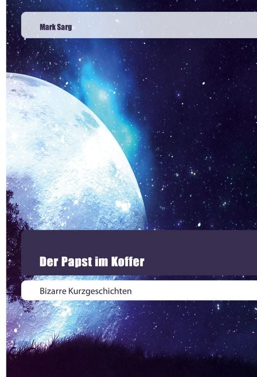 Produktbild: Der Papst im Koffer