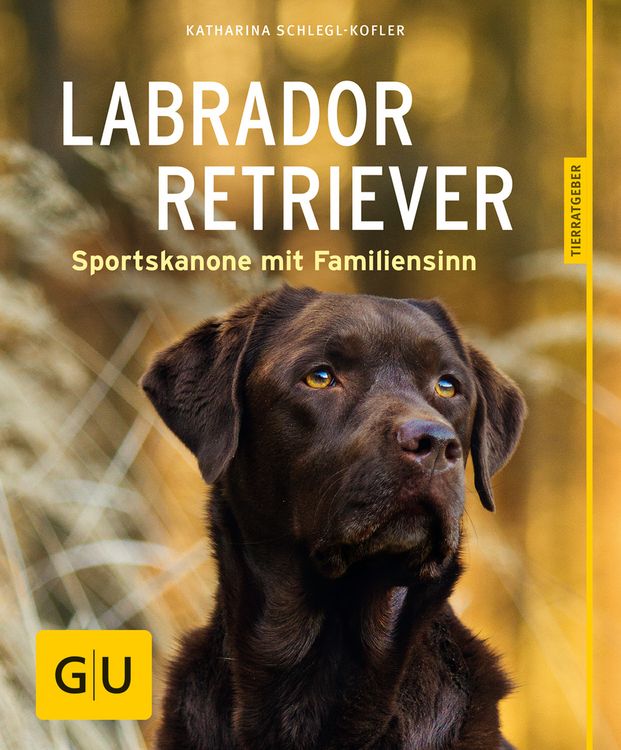 Produktbild: Labrador Retriever