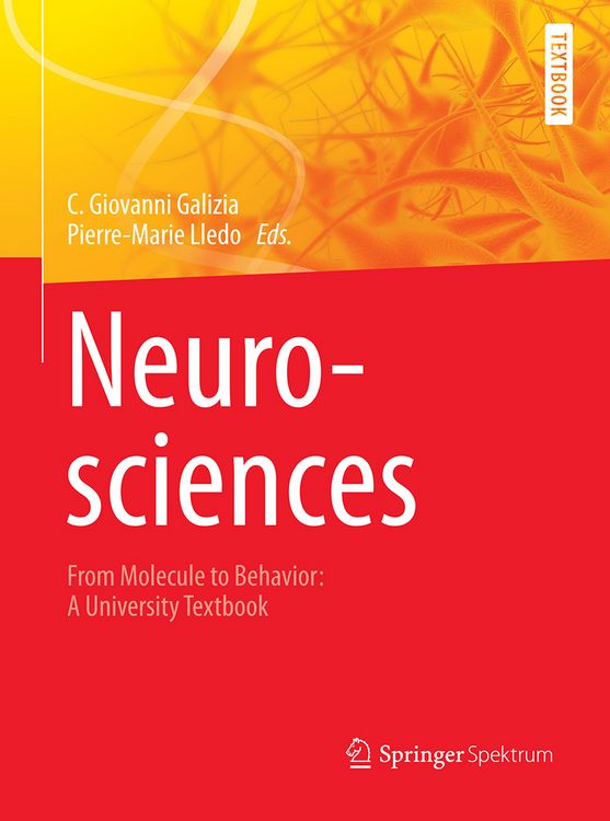 Produktbild: Neurosciences - From Molecule to Behavior: a university textbook