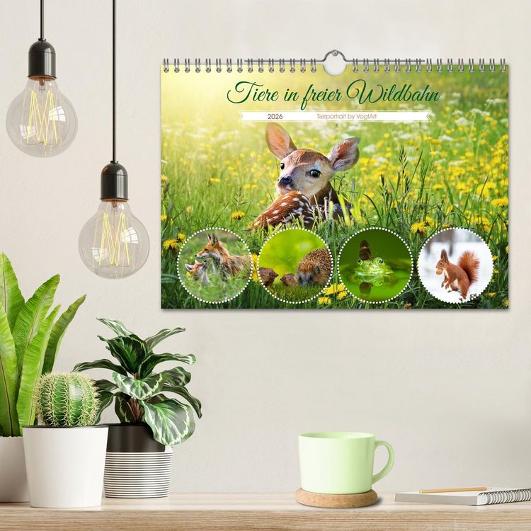 Produktbild: Tiere in freier Wildbahn by VogtArt (Wandkalender 2026 DIN A4 quer), CALVENDO Monatskalender