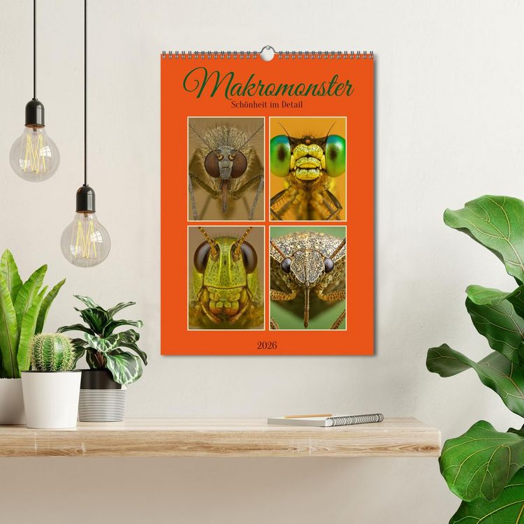 Produktbild: Makromonster - Sch&ouml;nheit im Detail (Wandkalender 2026 DIN A3 hoch), CALVENDO Monatskalender