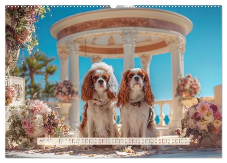 Produktbild: Cavalier King Charles Spaniel. Die lustigsten Cavalier Momente des Jahres. (hochwertiger Premium Wandkalender 2027 DIN A2 quer), Kunstdruck in Hochglanz