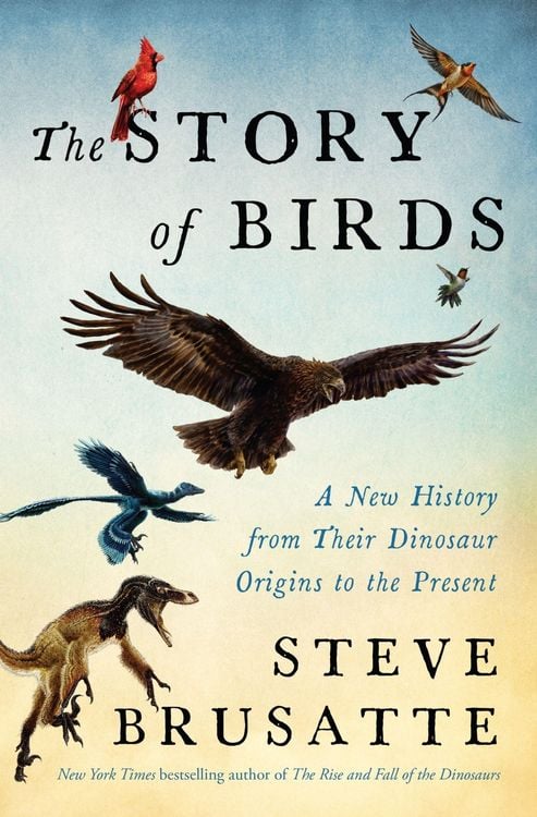 Produktbild: The Story of Birds