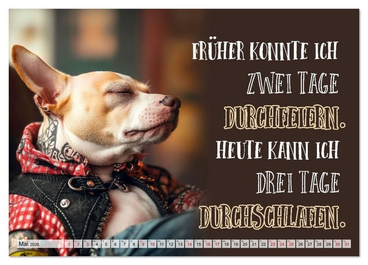 Produktbild: Wuffige Geburtstagsgr&uuml;&szlig;e SPR&Uuml;CHE ZUM &Auml;LTERWERDEN (Wandkalender 2026 DIN A2 quer), CALVENDO Monatskalender