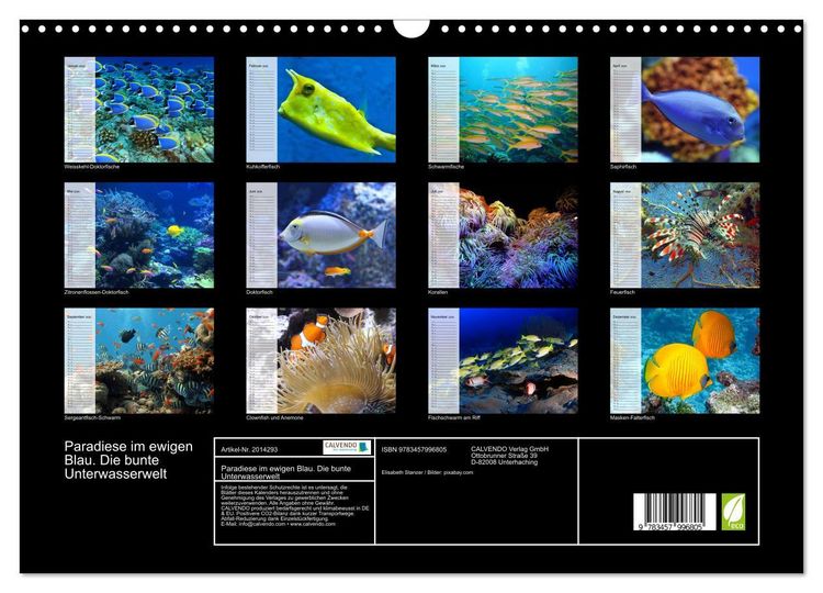 Produktbild: Paradiese im ewigen Blau. Die bunte Unterwasserwelt (Wandkalender 2026 DIN A3 quer), CALVENDO Monatskalender