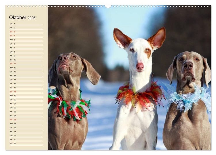 Produktbild: Beste Freunde. Bezaubernde Tierfreundschaften (hochwertiger Premium Wandkalender 2026 DIN A2 quer), Kunstdruck in Hochglanz