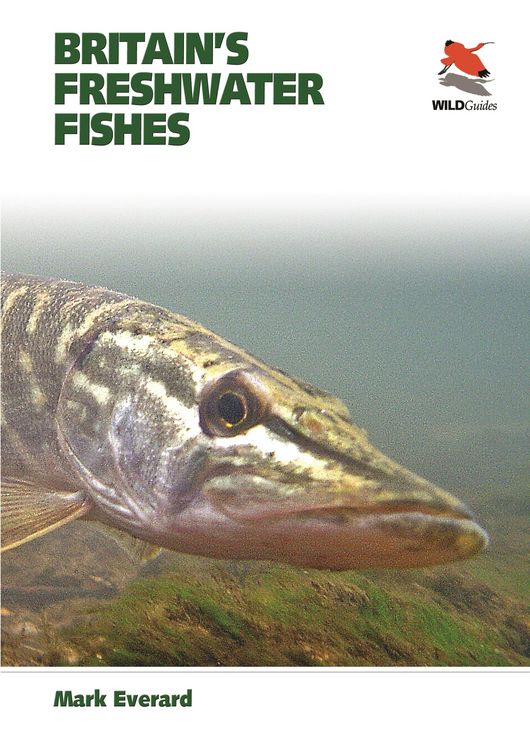 Produktbild: Britain's Freshwater Fishes