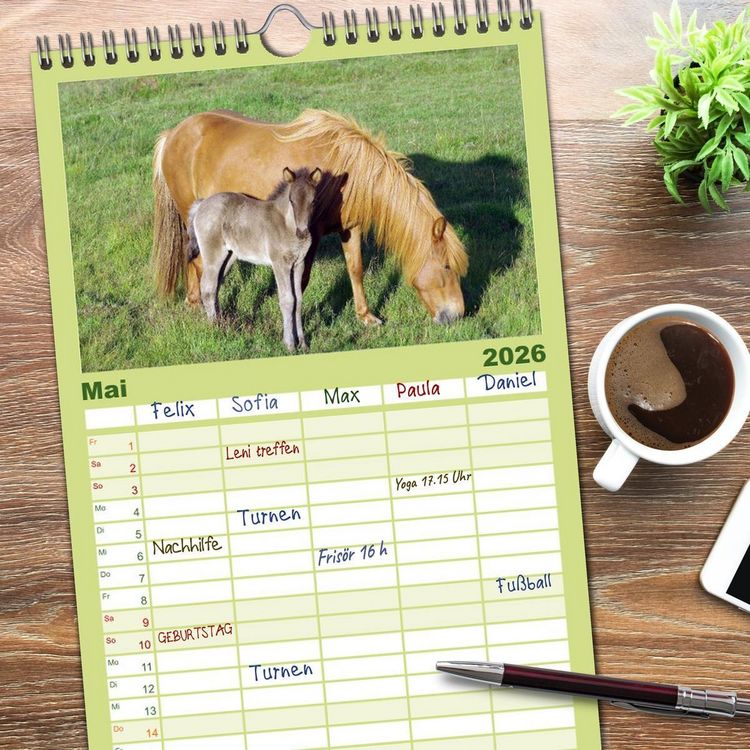 Produktbild: Familienplaner 2026 - Die Pferde Islands mit 5 Spalten (Wandkalender, 21 x 45 cm) CALVENDO