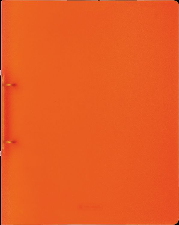 Produktbild: Brunnen Ringbuch FACT!pp | A4, 2 Ringe, F&uuml;llh&ouml;he: 16 mm, orange