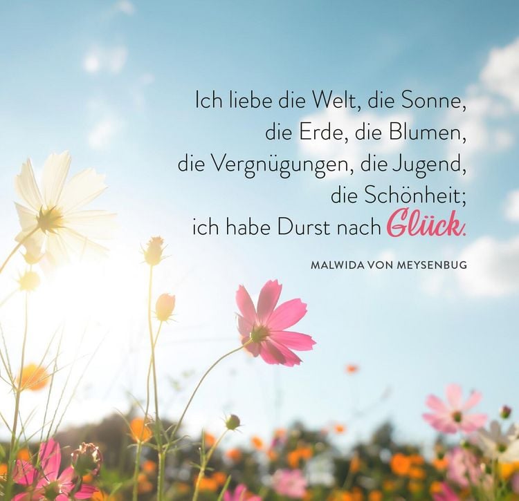 Produktbild: 365 Tage Sonne im Herzen
