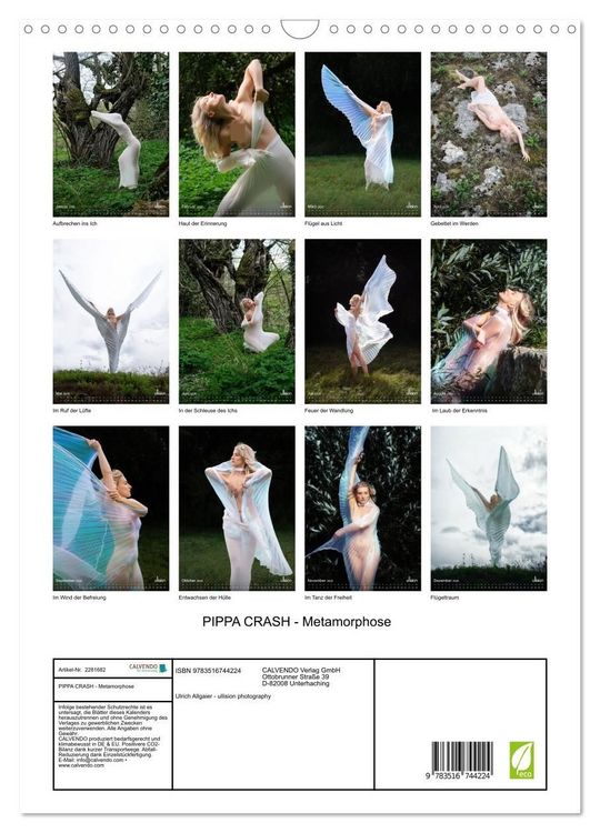 Produktbild: PIPPA CRASH - Metamorphose (Wandkalender 2026 DIN A3 hoch), CALVENDO Monatskalender
