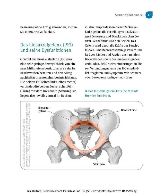 Produktbild: Der kleine Coach f&uuml;r Ischias und ISG