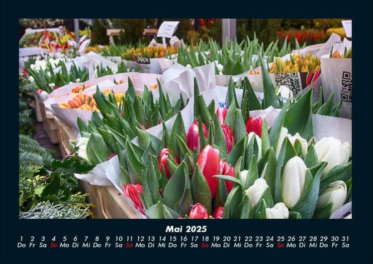 Produktbild: Blumenkalender 2025 Fotokalender DIN A4