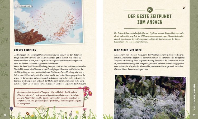 Produktbild: Die Insektenwiese: So summt & brummt es garantiert!