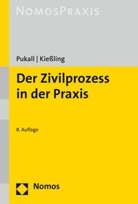 Produktbild: Der Zivilprozess in der Praxis
