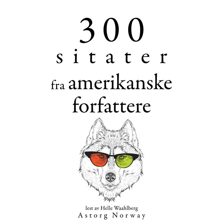 Produktbild: 300 sitater fra amerikanske forfattere
