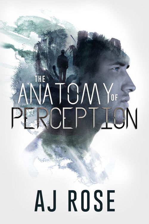 Produktbild: The Anatomy of Perception
