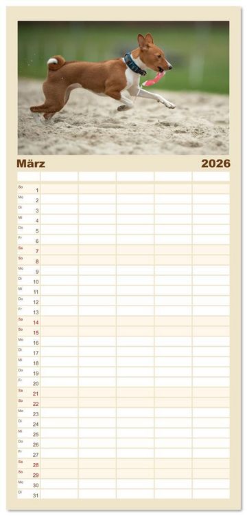 Produktbild: Familienplaner 2026 - Der Basenji mit 5 Spalten (Wandkalender, 21 x 45 cm) CALVENDO