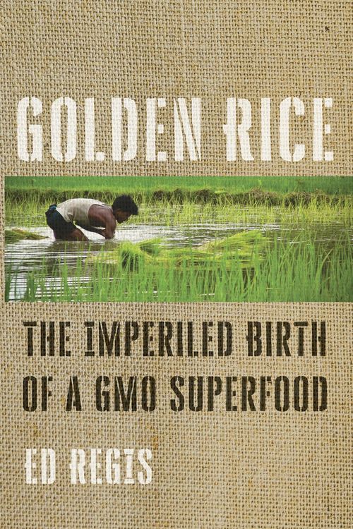 Produktbild: Golden Rice