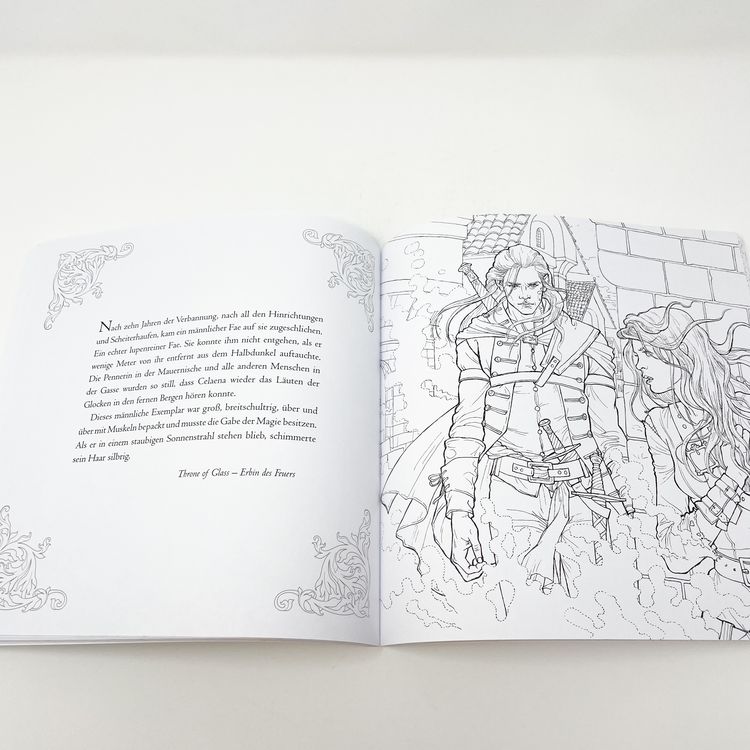 Das große Throne of Glass-Fanbuch