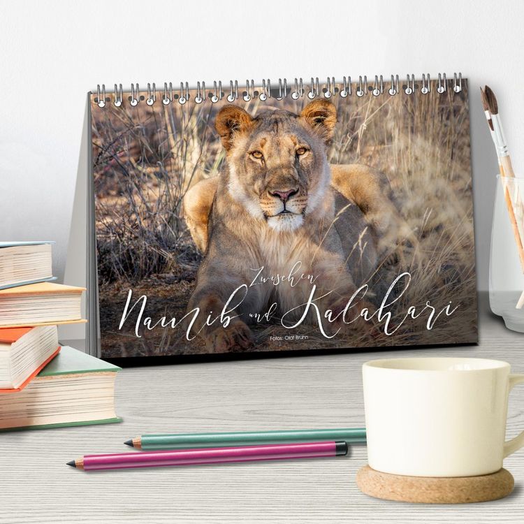 Produktbild: Zwischen Namib und Kalahari (Tischkalender 2026 DIN A5 quer), CALVENDO Monatskalender