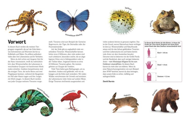 Produktbild: Unsere Welt in 1000 Bildern. Tiere