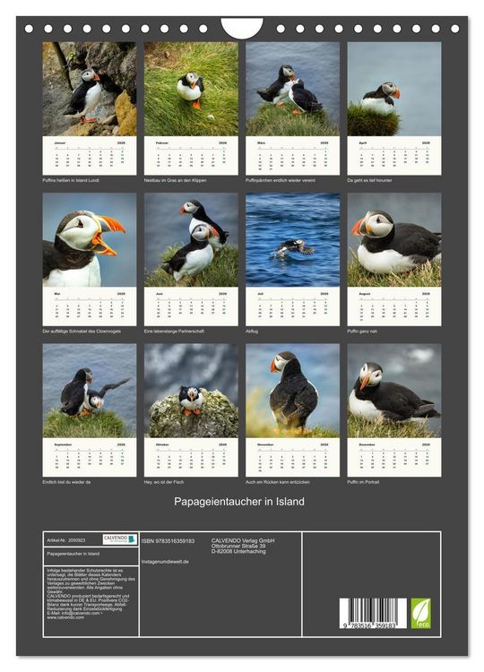Produktbild: Papageientaucher in Island (Wandkalender 2026 DIN A4 hoch), CALVENDO Monatskalender