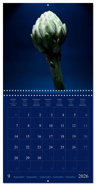 Produktbild: Les l&eacute;gumes hauts en couleur (Calendrier mural carr&eacute; 2026 30x30 cm) Calendrier double avec une page pour vos prises de notes